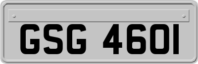 GSG4601