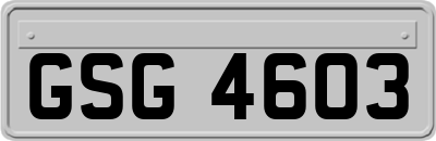 GSG4603