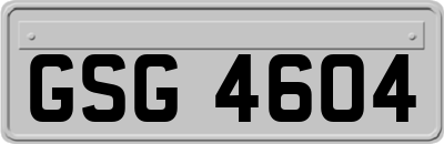 GSG4604