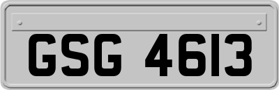 GSG4613