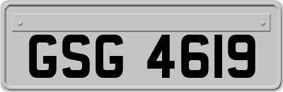 GSG4619
