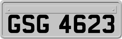 GSG4623