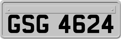 GSG4624