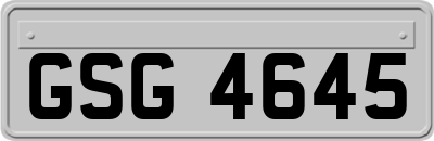 GSG4645