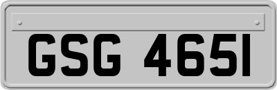 GSG4651