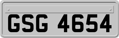 GSG4654