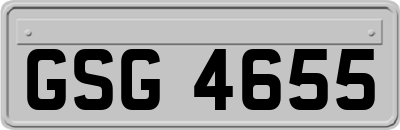 GSG4655