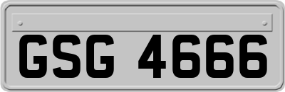 GSG4666