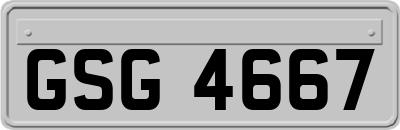 GSG4667