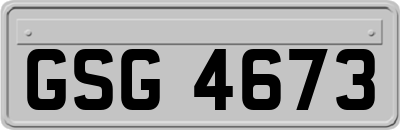 GSG4673