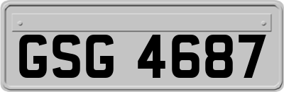 GSG4687