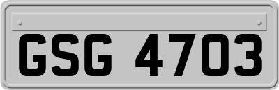 GSG4703