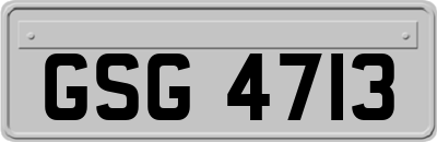 GSG4713