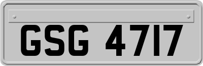GSG4717