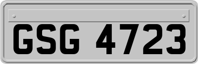 GSG4723