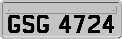 GSG4724