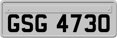 GSG4730