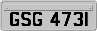 GSG4731