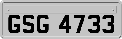 GSG4733