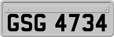 GSG4734