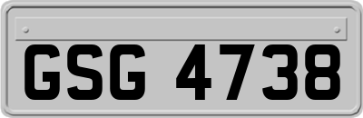 GSG4738