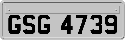 GSG4739
