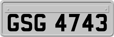 GSG4743