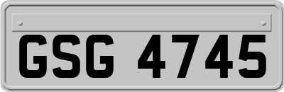 GSG4745