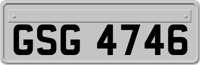 GSG4746