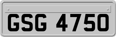 GSG4750