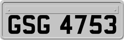 GSG4753