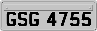 GSG4755