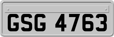 GSG4763