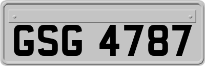 GSG4787