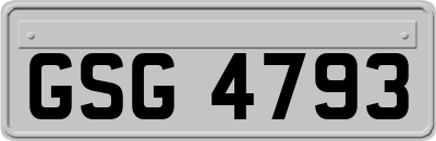 GSG4793