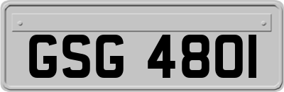 GSG4801