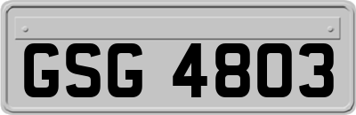 GSG4803