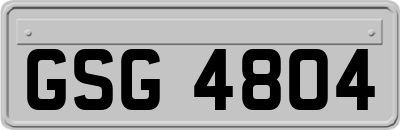 GSG4804
