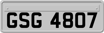 GSG4807