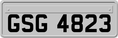 GSG4823