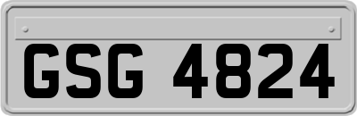 GSG4824