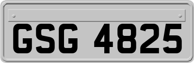 GSG4825