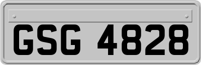 GSG4828