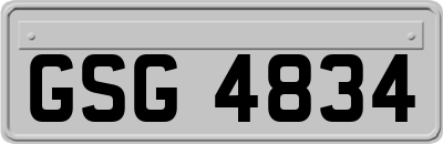 GSG4834
