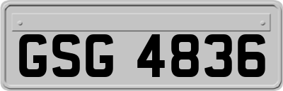 GSG4836