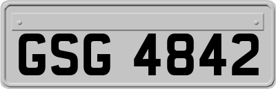 GSG4842