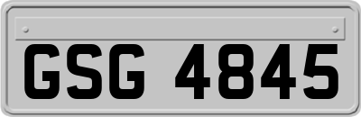 GSG4845