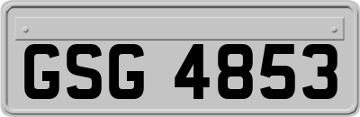 GSG4853