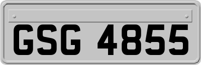 GSG4855