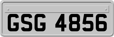GSG4856
